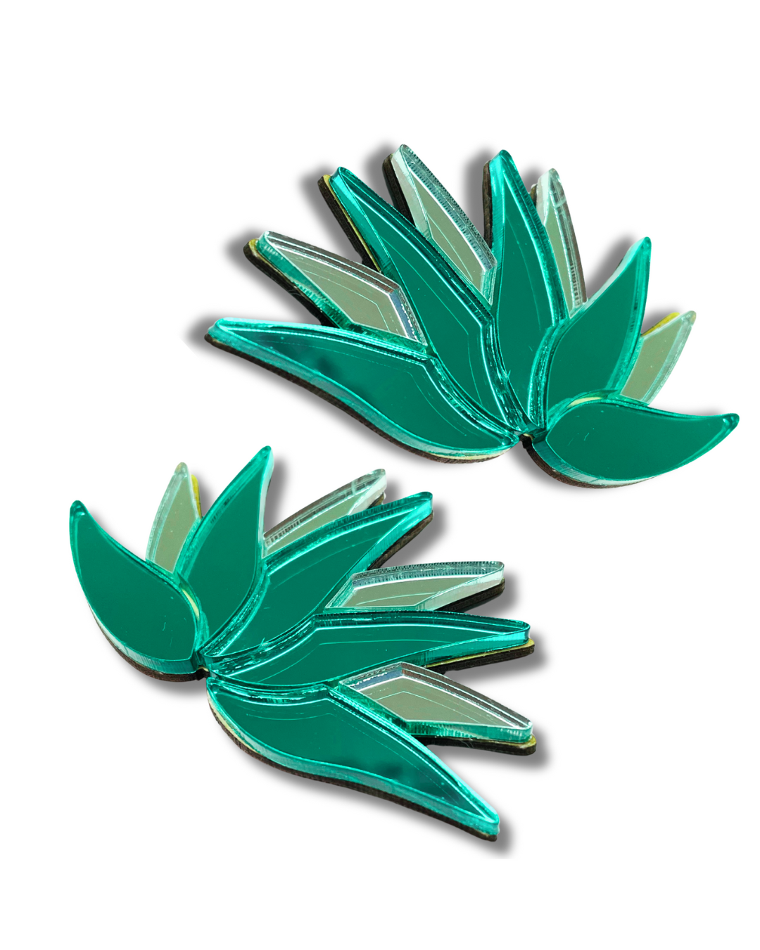 CACTUS (Copia)